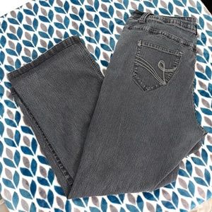 Plus Size Cato Brand Jeans
